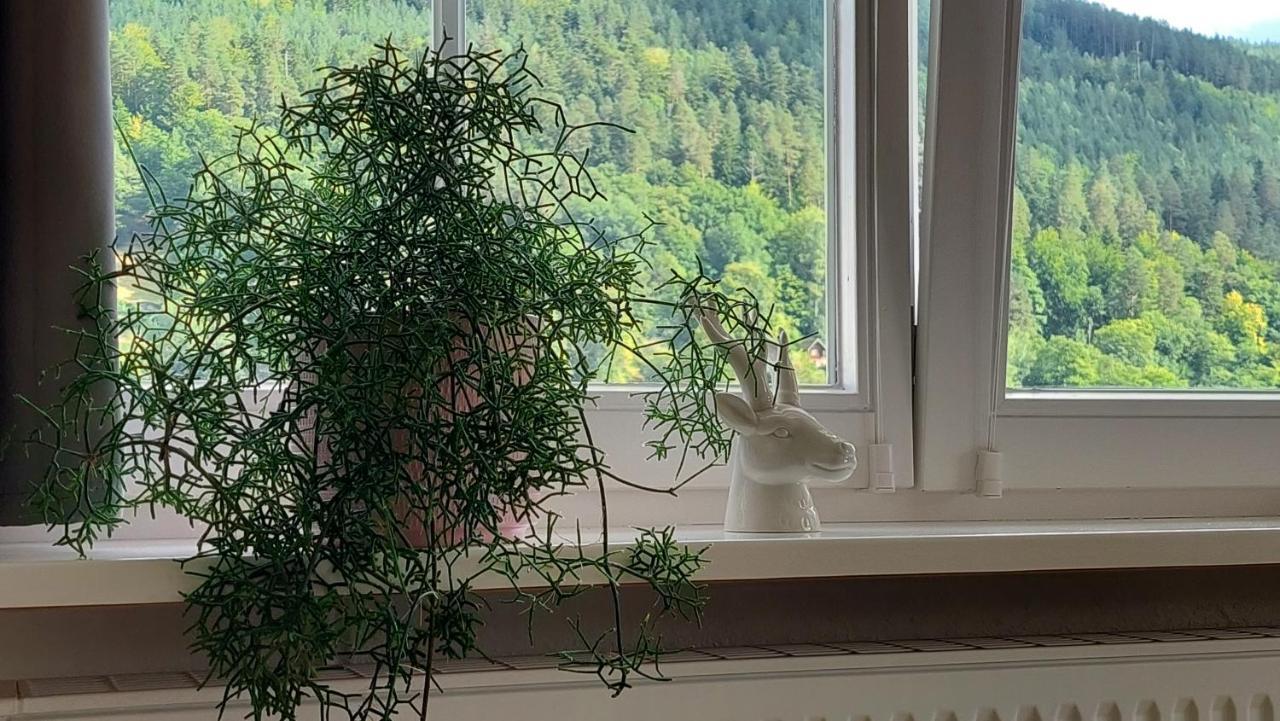 Apartement Am Waldrand Bad Wildbad Eksteriør bilde